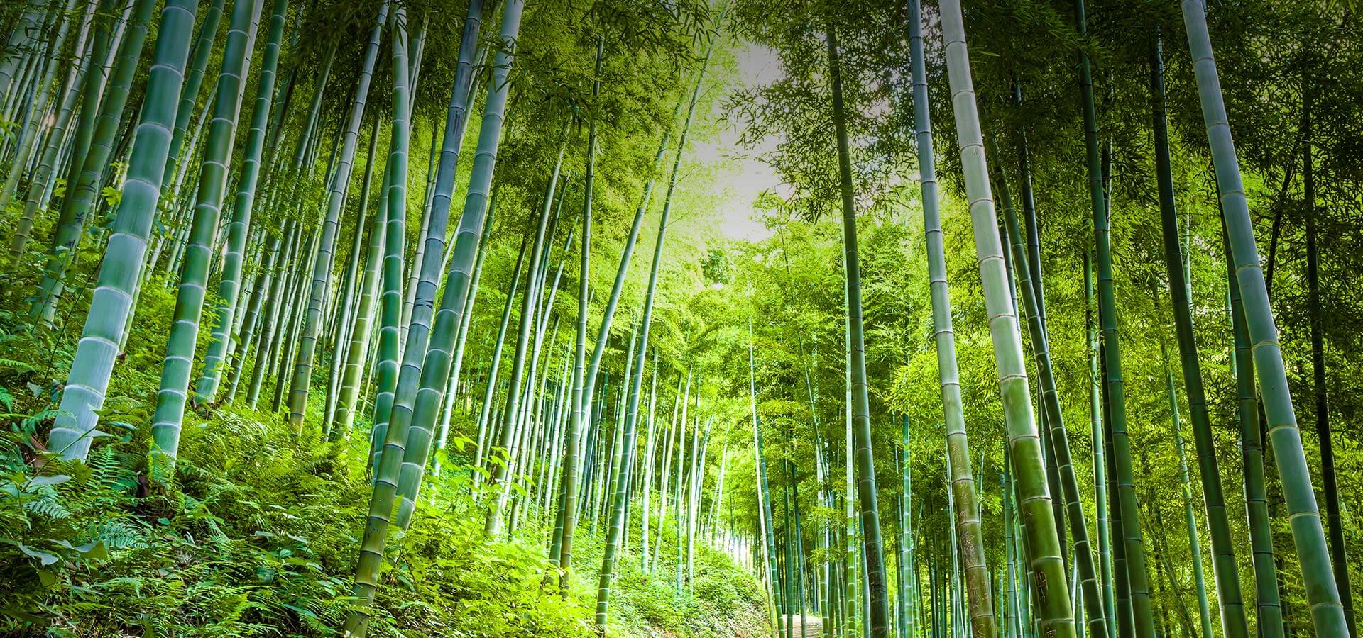 龍牌金庫(kù)門(mén)廠家